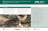 Research findings factsheet cat... · than 2 billion reptiles, birds and mammals each year. Mammals are the most commonly eaten of these prey items, for all types of cat (pets and