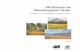 Wetlands in Washington State · Wetlands in Washington State Volume 1: A Synthesis of the Science FINAL March 2005 Ecology Publication #05-06-006 Written by: Dyanne Sheldon1, Tom