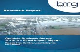 Cumbria Business Survey 2015/16 – Flood Impact Report › wp-content › uploads › ... · Cumbria Business Survey 2015/16 – Flood Impact Report 2 1 Impact of 2015 floods Chaos