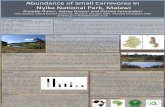 Abundance of Small Carnivores in Nyika National Park, Malawi › radar › file › 24e0df8e-43... · IUCN (2019). Available from , [Accessed 21/3/2019]; Kingdon, J. (2015) The Kingdon