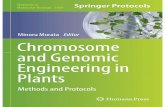 Minoru Murata Editor Chromosome and Genomic Engineering in ... › molbio › download... · groups that CRISPR-i nduced mutations in plants can be inher-ited, which is the most important