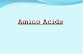 Aims of The Lecture - unimed.edu.ng · Aims of The Lecture The students should be learning about Amino acids: ... Lehninger Principles of Biochemistry, Fourth Edition (2006). Robert