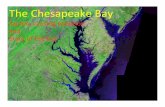 The Chesapeake Bay - University of Delawareudel.edu › ~inamdar › nps2007 › Chesapeake_Bay.pdf · 2010-05-11 · The Chesapeake Bay: Overview The Bay • Shallow - Its average