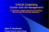 50 Minutes to CALM™ (Career and Life Management). · 2014-11-13 · What You Will Learn Today. z. To view stress and life balance from a systems . perspective. z. How areas of stress