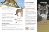 CougarManagement WITHWILDLIFE - Alberta Parks · Don’t let your cats or dogs roam free. Supervise pets when they’re outside. Walk your dogs during the day and avoid off-trail