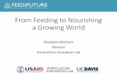 From Feeding to Nourishing a Growing World · Global Nutrition Report (IFPRI 2016) The graphic shows the number of countries at various stages of progress against global nutrition