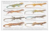CHECKLIST of Lizards, Sabino Canyon, Coronado National Forest · CHECKLIST of Lizards, Sabino Canyon, Coronado National Forest Reproduced with permission from T. C. Brennan and A.