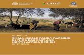 Study on small-scale family farming in the Near East and North Africa region. Synthesis · 2019-05-07 · STUDY ON SMALL-SCALE FAMILY FARMING IN THE NEAR EAST AND NORTH AFRICA REGION