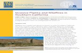 Invasive Plants and Wildfires in Southern California · 2009-08-25 · Invasive Plants and Wildfires in Southern California ANR Publication 8397 3 Gaps left on the riverbanks provide