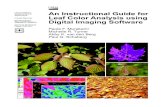 An instructional guide for leaf color analysis using digital … · 2013-03-29 · the Munsell Plant Tissue Color Chart (Sibley et al. 1995, Innes et al. 1996), the Globe Plant Color