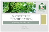 Native Tree Identification - Huntsville Botanical Gardenhsvbg.org/.../Native-Tree-Identification_Intro_8-18_HBG.pdf · 2018-09-04 · NATIVE TREE IDENTIFICATION Instructor: ... •Field
