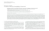 Review Article Crohn’sDiseaseImaging:AReviewdownloads.hindawi.com/journals/grp/2012/816920.pdf · Correspondence should be addressed to Graziella Di Grezia,graziella.digrezia@yahoo.it