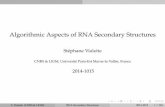 Algorithmic Aspects of RNA Secondary Structuresvialette/teaching/2014-2015/MPRI/... · 2014-12-23 · Introduction Plan 1 Introduction 2 RNA secondary structure prediction 3 Pseudoknot