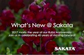 What’s New @ Sakata · 2019-04-24 · What’s New @ Sakata 2017 marks the year of our Ruby Anniversary. ... • Plants fit perfectly into containers • Slow to bolt—longer and