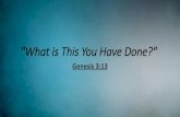 What is This You Have Done? - storage.cloversites.comstorage.cloversites.com/cedargrovebaptistchurch/documents/14011… · Whatever you have done, God still loves you, but requires