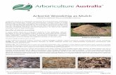 Arborist Woodchip as Mulch - Arbor Operations › wp-content › uploads › ...Arboriculture Australia Limited Arborist Woodchip as Mulch (Russo, C and Stavrou, R) Page 4 of 4 Keep