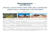 WEST AUSTRALIAN WILDFLOWERS AND NULLARBOR CROSSING€¦ · WEST AUSTRALIAN WILDFLOWERS AND NULLARBOR CROSSING 23 Days Departing 5 September 2018 DAY 1: Wed 05 Sep FLY TO PERTH (D)