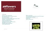 WildFlowers Australia newsletter · 2018-05-30 · Wildflowers, WildFlowers Australia and Apack NSW Pty Ltd plus the silent auction of the ... next year and useful feedback about