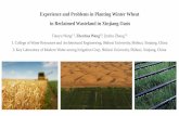 Experience and Problems in Planting Winter Wheat in ... · Xinjiang, we summarized the reasons for the success of agricultural reclamation in the oasis region of Xinjiang, found out