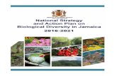 National Strategy and Action - CBD › doc › world › jm › jm-nbsap-v2-en.pdf · National Strategy and Action Plan on Biological Diversity in Jamaica 2016-2021 vi Foreword In