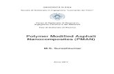 Polymer Modified Asphalt Nanocomposites (PMAN)download.istella.it/user/519c739d1d7819791c00000d/... · research work through Prof. Ludo Zanzotto, Chairman, Bituminous Materials, University