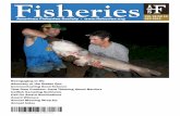 Fisheries - Oklahoma State University–Stillwaternrem.okstate.edu/shouplab/Publications/s/Bodine et al 2013... · 24 fish/net/tandem set, 20–60 fish/person-h) and accurate sam-ples.