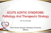 ACUTE AORTIC SYNDROME: Pathology And Therapeutic Strategyperkicabangmalang.org/assets/files/3. DR. NOVI.pdf · ACUTE AORTIC SYNDROME: Pathology And Therapeutic Strategy JOHN DOE,