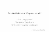 Acute Pain – a 10 year audit - STAPG · Acute Pain – a 10 year audit Colm Lanigan and The Acute Pain Team University Hospital Lewisham STAPG, ... n=60 0 20 40 60 80 100 120 140