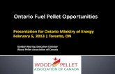 Ontario Fuel Pellet Opportunities...2013/02/05  · Wood Pellet Association of Canada 13 Conversion Target Annual Pellets Pellet Value Pellet Jobs* 100% 9 million tonnes $2.4 billion