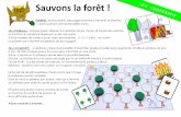 Sauvons la forêt - Maternelle de Moustachejt44.free.fr/def/Sauvons_la_foret.pdf · 2019-06-30 · Souche : un bûcheron ou un castor est passé par là, on enlève le nombre d’arbre