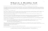 What Is A Healthy Soil - Nature's Way Resources › nl › HealthySoil.pdf · What Is A Healthy Soil - Part 3 Continuing our discussion of what is a healthy soil we are going to discuss