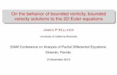 On the behavior of bounded vorticity, bounded velocity ...math.ucr.edu/~kelliher/Talks/Dec 2013 - SIAM PDE in Orlando.pdf · On the behavior of bounded vorticity, bounded velocity