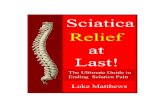 ambridge Tower Publishing - Stop Sciatica Pain › wp-content › uploads › 2020 › 02 › Sciatica-R… · nerve is compressed it sustains a bit of damage and needs to heal. 8