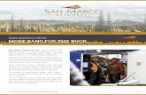 SAN MARCO GETS MORE BANG FOR THE BUCKsanmarcocorp.com/wp-content/uploads/2020/04/San...MORE BANG FOR THE BUCK MOMENTUM REPORTS | San Marco Resources, April, 2020 San Marco Resources