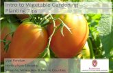 General Planting Tips€¦ · Intro to Vegetable Gardening ... Cultivars-and-Planting-Guide-for-Wisconsin-Gardens-P1373.aspx •Seed packets, transplant tag. Perennial Crop –Asparagus