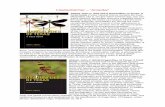 Libellenbücher “Amerika” - NIBUK Amerikas.pdf · Beaton, Giff (2007) Dragonflies & Damselflies of Georgia & the Southeast. 368 S 417 Farbfotos. 1 Tab 155 Ktn 17 Abb Stunning