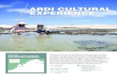 ARDI CULTURAL EXPERIENCE - tourism.wa.gov.au Library... · CygnetBay,Australia’soldestpearlfarm opentothepublic. • Take a scenic cruise or flight to the1,000islandsandisletsof