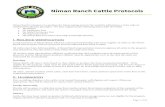 Niman Ranch Cattle Protocols › ... › NR-Cattle-Protocols.pdf · A Niman Ranch representative must pre-approve all cattle in the program and, if practical, visit the ranch or farm
