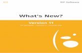 What'sNew? - Pantoon › media › downloads › v11-what's_new-en.pdf · WHAT'SNEW? NewLook&Feel CalderaRIPisnowdistributedwithanewDesktopLook&Feelincluding2skins,newicons,wallpapers,and