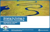 Bringing the Ecology in Ecosystem Accounting · Ecology in the Ecosystem Services Account The services account is used: 1. To monitor annual flows of ecosystem services, in every
