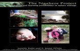 The Ngahere Project: Teaching · four principles of Te Whāriki to the aspirations of Forest School. It is also significant that many of the key elements that define Forest School