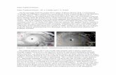 Super Typhoon Haiyan - the Conference Exchange › ... › Super_Typhoon_Haiyan.pdf · 2014-05-05 · (190 mph) set by Atlantic Hurricane Camille in 1969. Earlier in its life, the