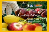 Horticulture in Campania › frutticoltura › brochure-fruit-logistica.pdfsaggistica, dove si coniugano turismo e agricoltura di pregio , ma anche attività industriali (agroalimentare,