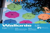 Wallonie · accordée à la revue Wallonie (voir en page 31). Les Vœux du Conseil Une centaine de personnes ont participé à la séance des Vœux qui s’est tenue le 17 janvier
