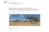 Perceived multifunctionality of agroforestry trees in ... › 10053 › 1 › ernstberger_j_170308.pdf · Faculty of Landscape Architecture, Horticulture and Crop Production Science