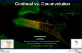 Confocal vs. Deconvolution - Scuola di Microscopia › images › pdf › Cesare Covino... · How works a Confocal Microscope The light out of focus coming from the upper and lower