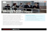 NETSUITE FOR PRIVATE EQUITY FIRMS - Conexus SGconexussg.com/wp-content/uploads/2017/07/NetSuite-for-Private-Equity-Firms.pdfknowledge of accounting and financial processes and are
