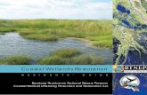 RESIDENTS’ GUIDE › products › BTNEP_book.pdf · Residents’ Guide. series was developed to promote awareness and good stewardship of the great natural resources. of our estuary.
