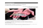 Headwater Catfish (Ictalurus lupus...“The headwater catfish Ictalurus lupus (Girard) is a little known member of the channel catfish, Ictalurus punctatus, species complex. It is
