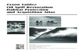 Exxon Valdez Oil Spill Restoration Habitat Protectionlandsale.alaska.gov/commis/opmp/evos/pdfs/EVOS_atlas_web.pdf · Exxon Valdez Oil Spill Restoration Habitat Protection and Acquisition